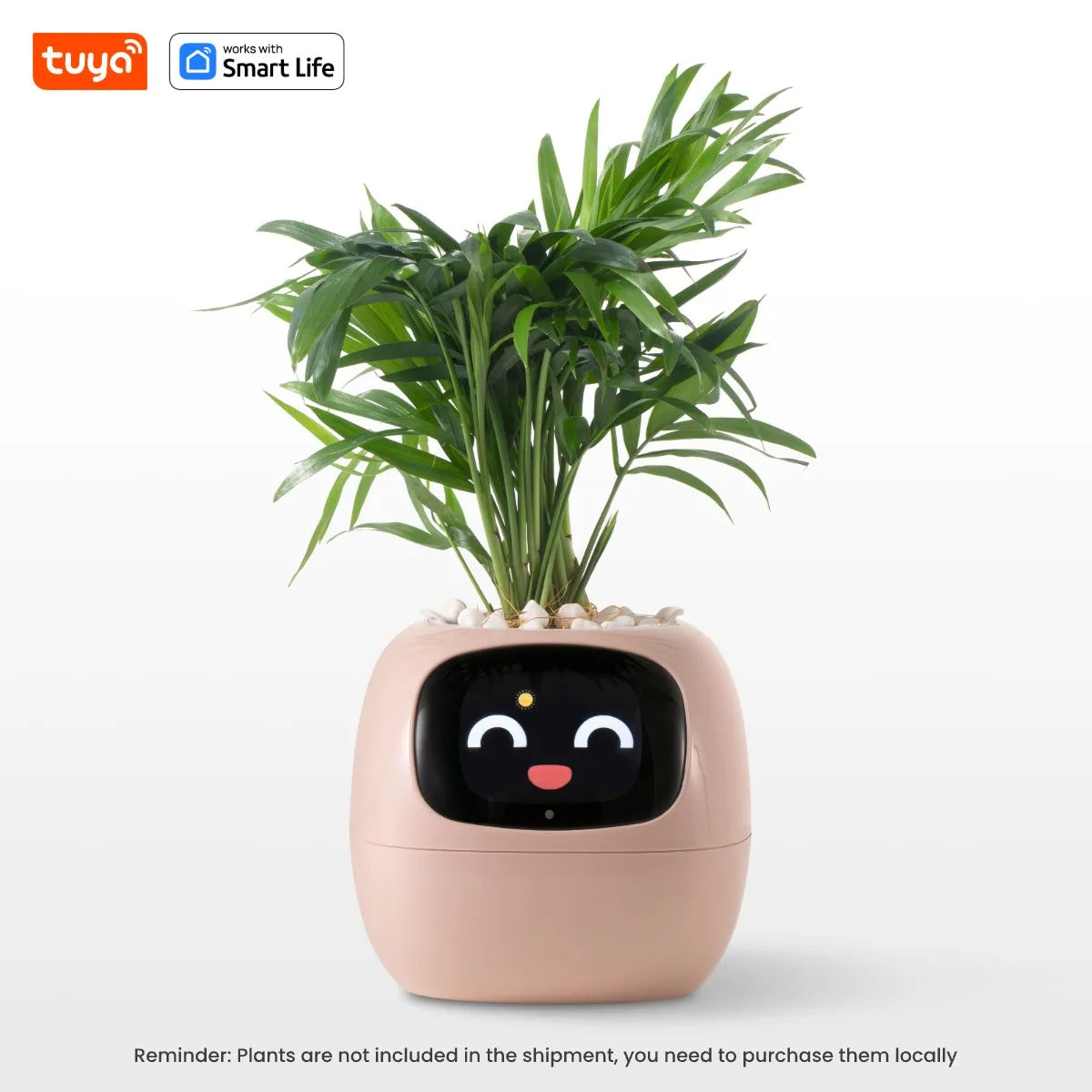 FloraSmart Pot
