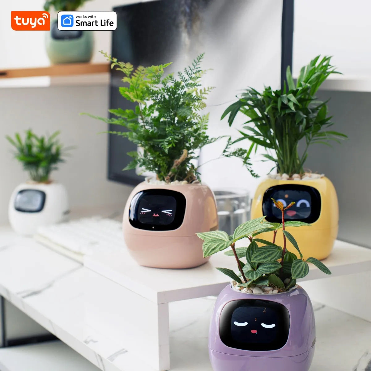 FloraSmart Pot