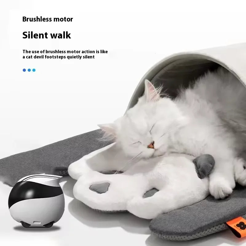 HomeBuddy SmartBot