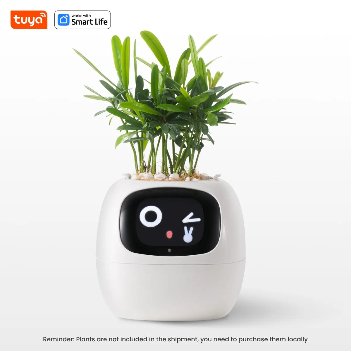 FloraSmart Pot