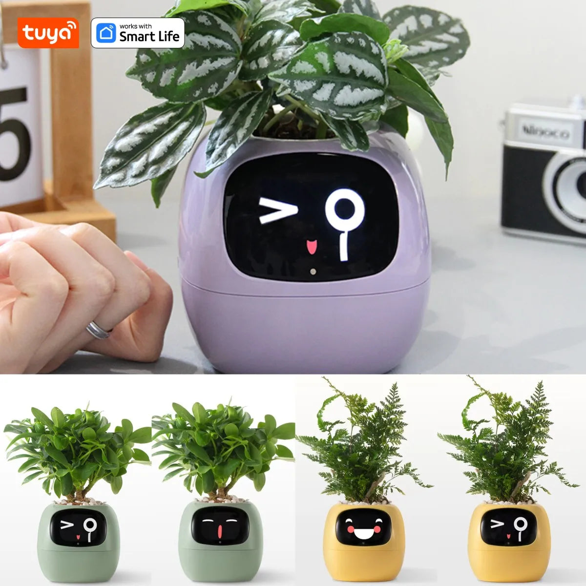 FloraSmart Pot