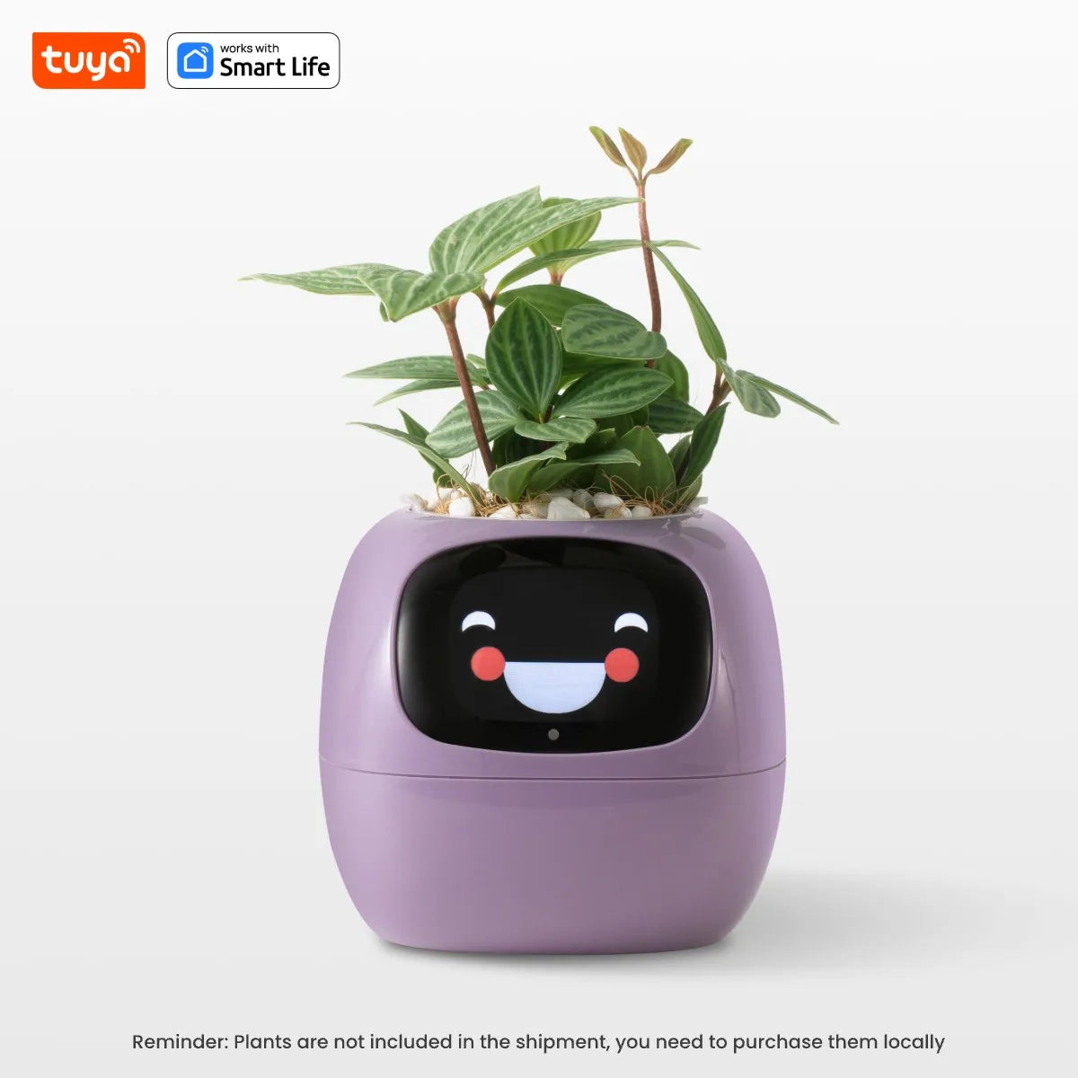 FloraSmart Pot