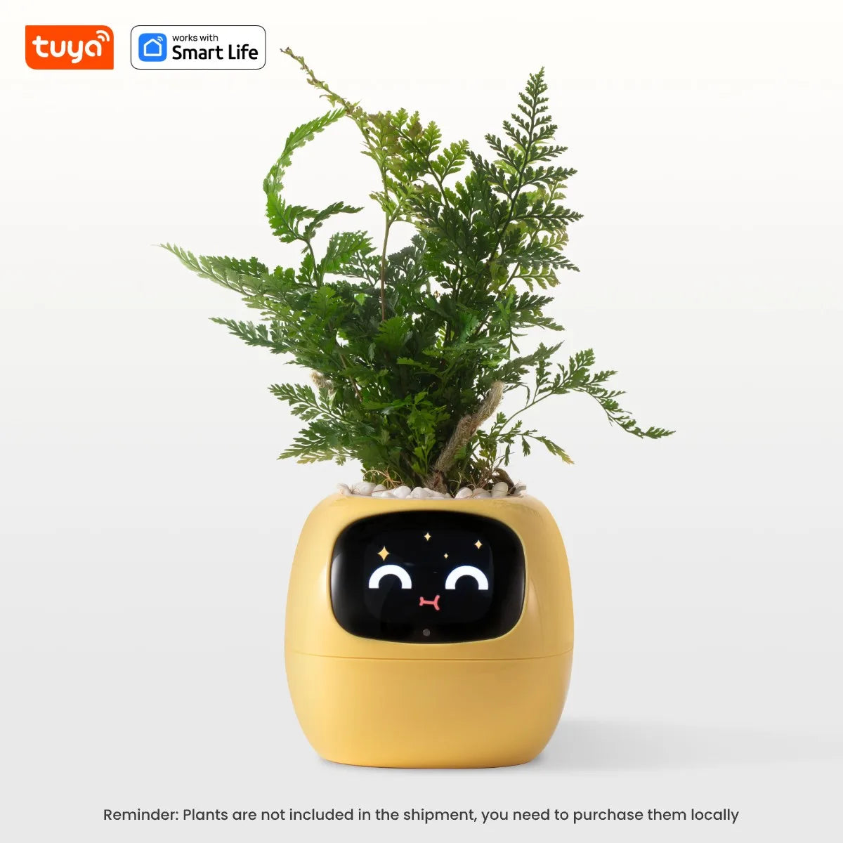 FloraSmart Pot
