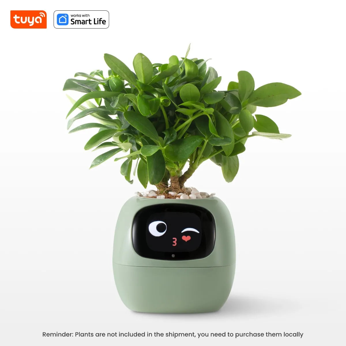 FloraSmart Pot