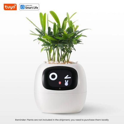 FloraSmart Pot
