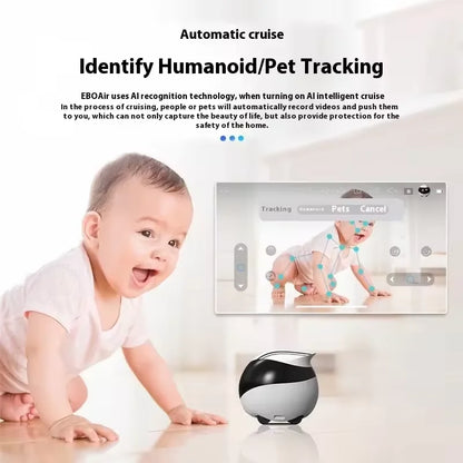 HomeBuddy SmartBot