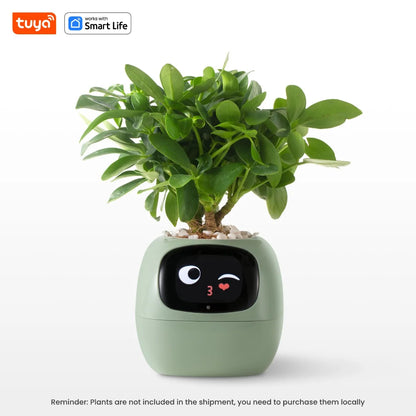 FloraSmart Pot